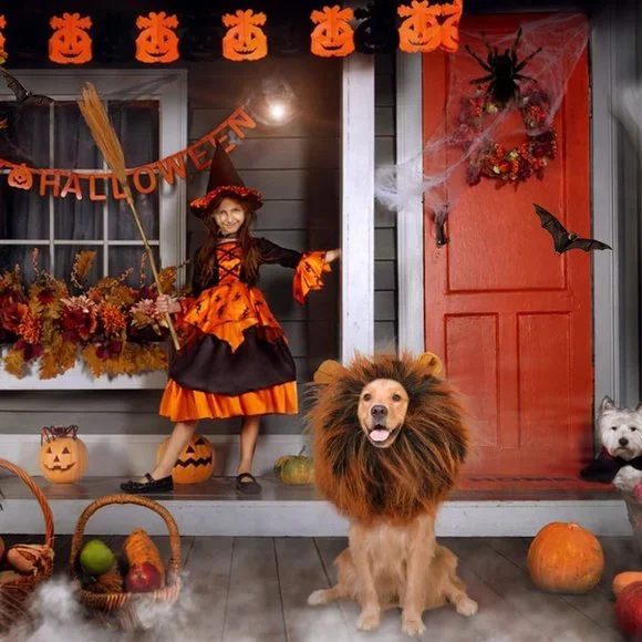 Lion Mane for Dog, Adjustable Halloween Dog Lion Costume Wig with Ears